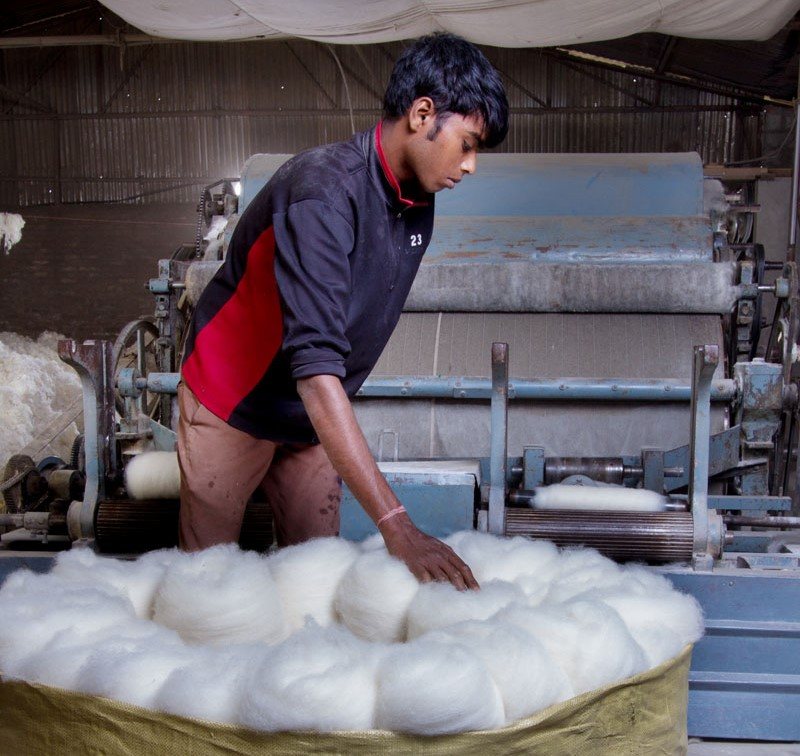 wool ready to be dyed